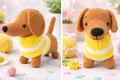 Dachshund With Sweater