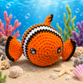 Clown Fish